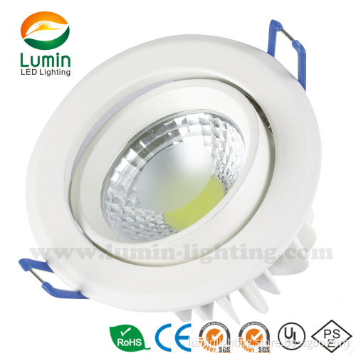 Hot-Sale LED Ceiling Light, New Style COB LED Ceiling Lamp (C1530R-3)